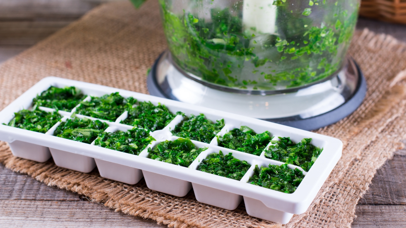 Chopped Petroselinum crispum frozen in olive oil-filled ice cube trays beside a food processor.
