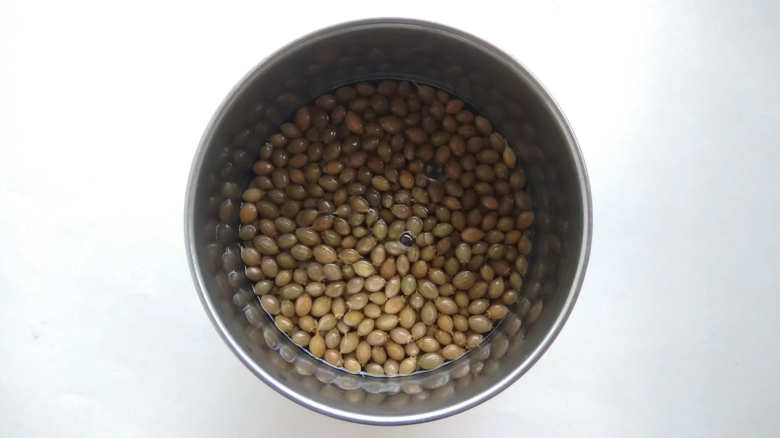 Seeds soaking in water, placed in water appearing clear with the container looking like glass with a smooth surface on a white table