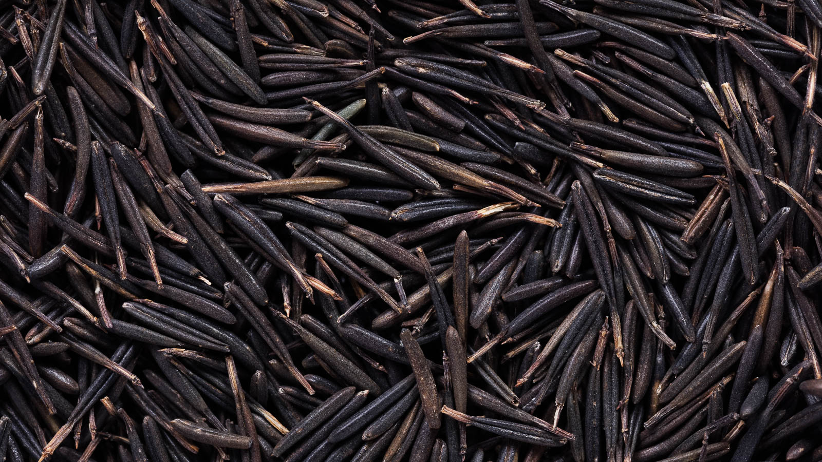 Close up of long, brown chervil seeds. 