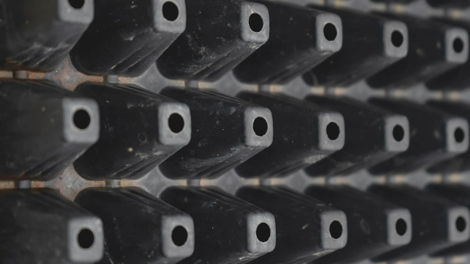 Black plastic tray with drainage holes for seed sowing. 