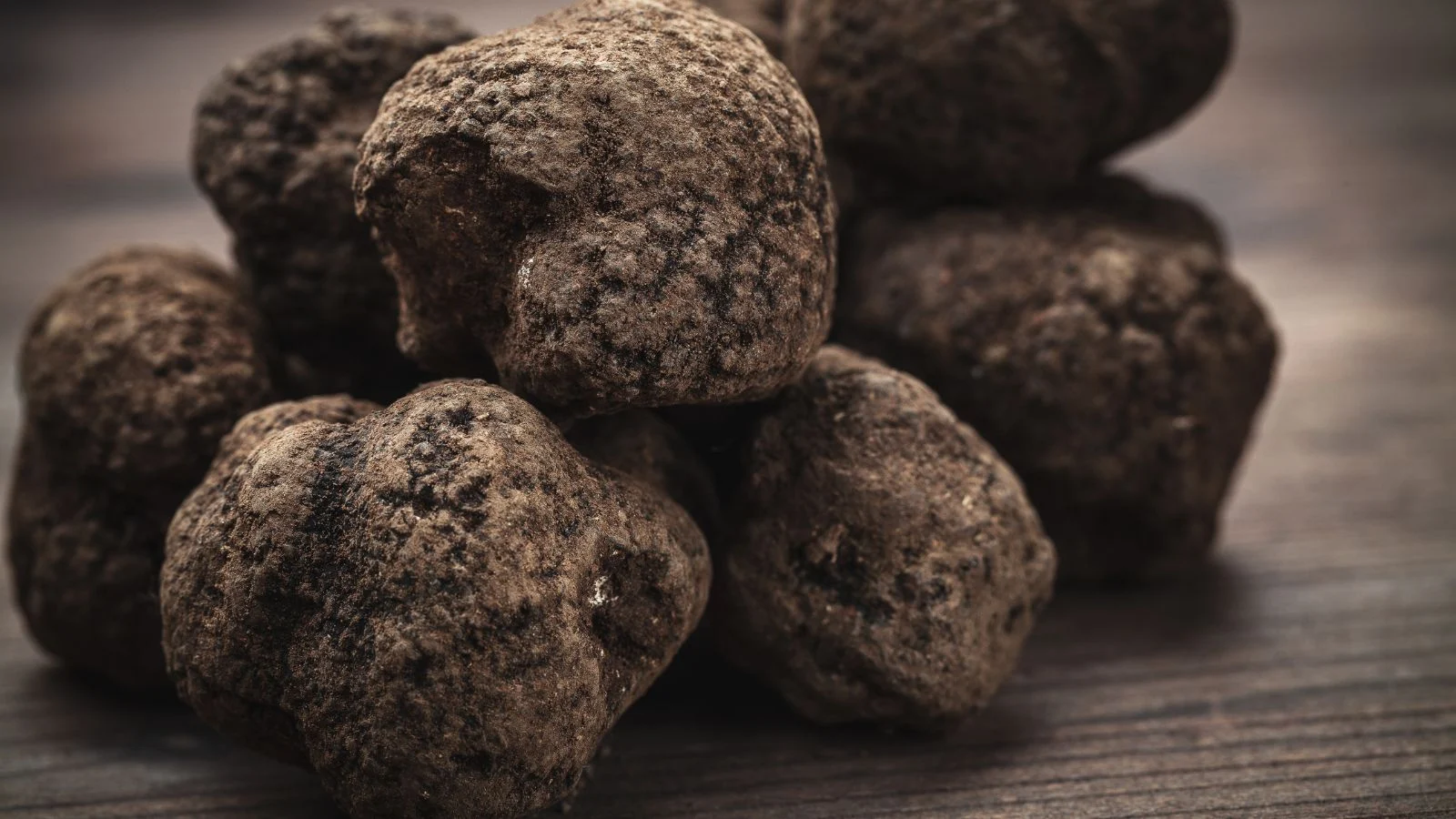Купка темно-коричневих трюфелів Tuber melanosporum на темній дерев'яній поверхні. Вирощування трюфелів вимагає швидкого споживання.