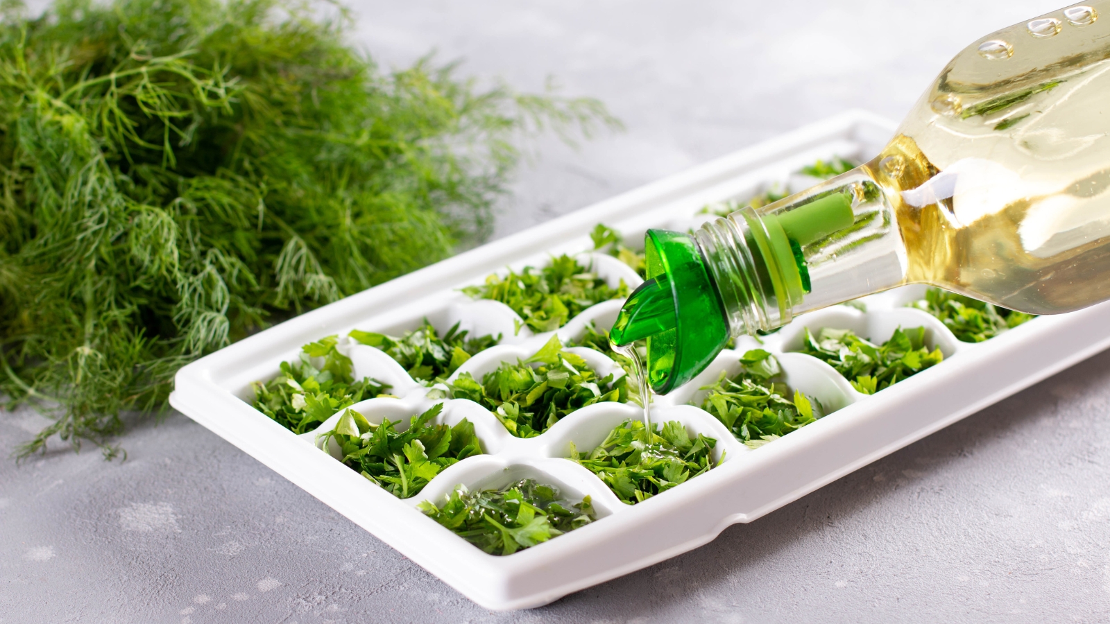 Ice cube trays are filled with freshly chopped cilantro leaves, topped with olive oil from a glass bottle, alongside a bunch of fresh herbs.