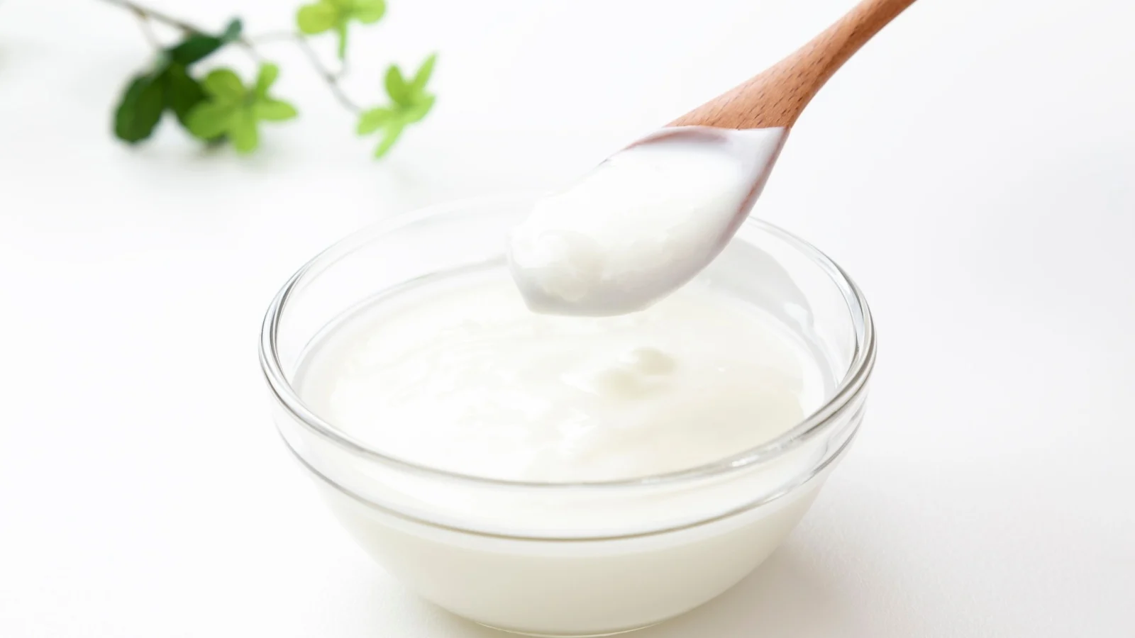 Бактерії, як Lactobacillus, допомагають розкладати відходи при бокаші компостуванні